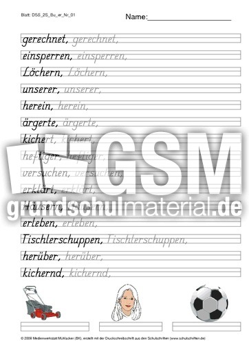DSS_2S_Bu_er_Nr_01.pdf